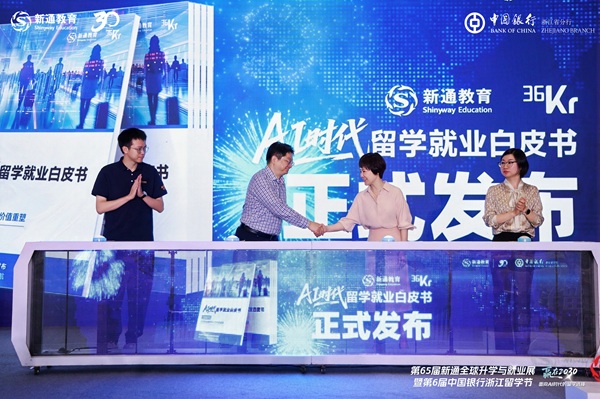 从CORE到CODE:ibbot青春版如何用PopLang让你的“人机协同力”真正值钱?